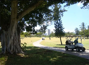 golf cart at Ala Wai Golf Course
