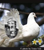 dove and Hiroshima Memorial