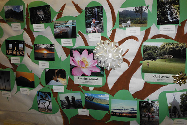 photos displayed on a paper bodhi tree