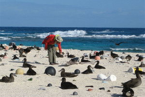 Jim Waddington with birds and plastic flotsom on Laysan Island.