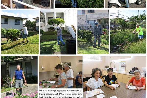 photo collage of volunteers working outside and inside by Ruth Tokumi