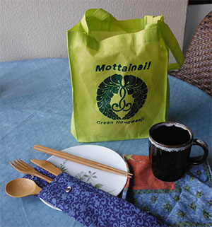 green Mottainai bag with sagarifuji, cup, napkin, small plate, and bamboo utensil set