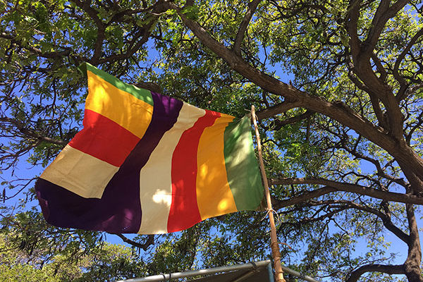 Buddhist flag flying at Magic Island picnic