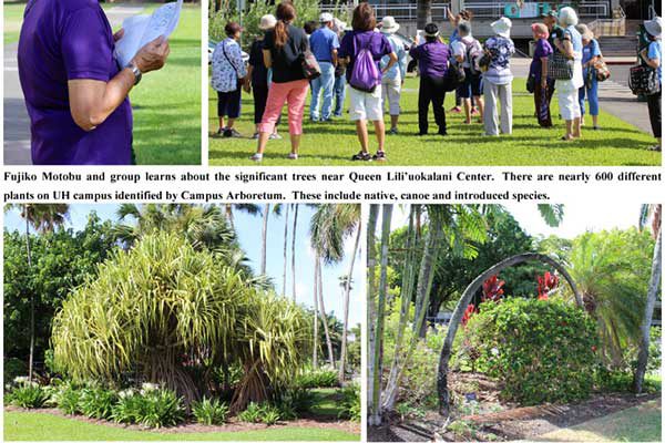 BWA Field Trip July 2018 - UH Arboretum photo collage