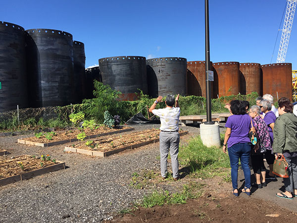 Kahauiki Village tour - Duane points out where garden corridor will be