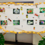 bulletin board with images and bee art in the Social Hall after the Earth Day 2019 service
