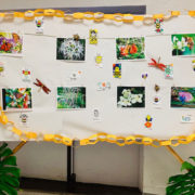 bulletin board with images and bee art in the Social Hall after the Earth Day 2019 service