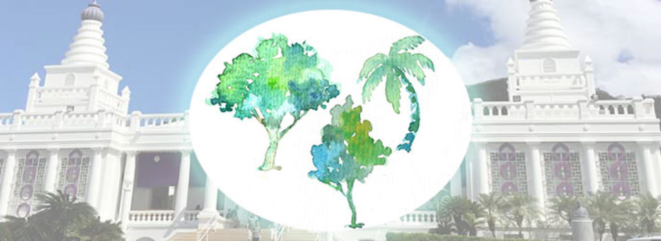 watercolors of trees over background of Hawaii Betsuin main temple building