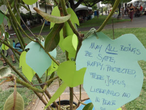 VegFest Oahu 2017 - peace tree leaf closeup