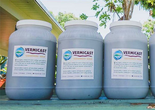 jars of vermicast from the Windward Zero Waste School Hui