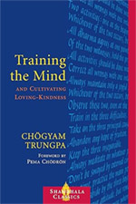 "Training the Mind" book cover