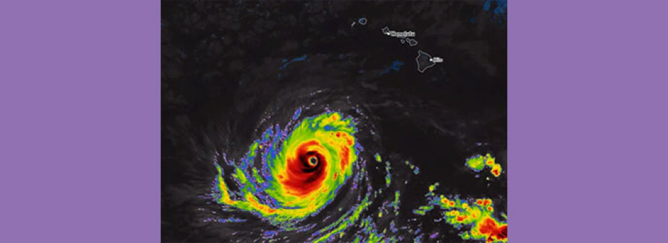 Hurricane Lowell header